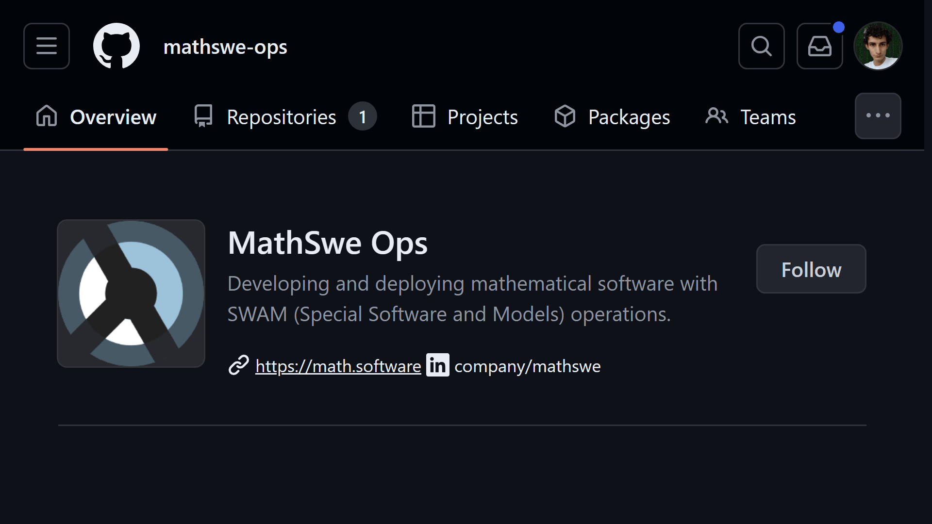 Initializing the MathSwe Ops GitHub Organization (2024/06/19)